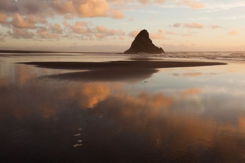 Nude Beach New Zealand Cumception