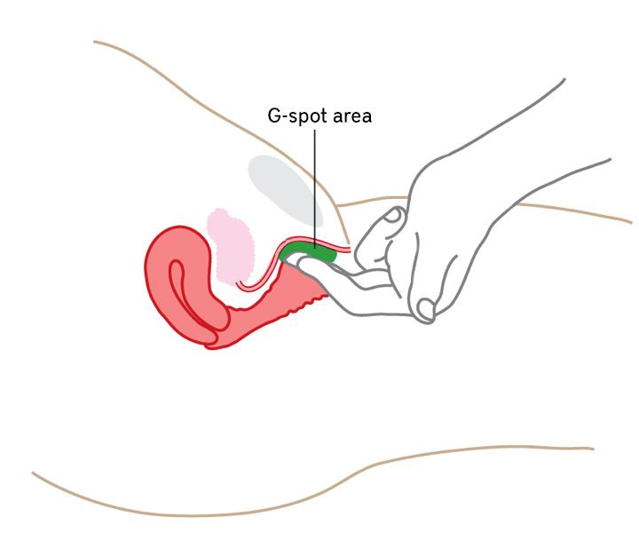 G Spot Position With Pictures 89