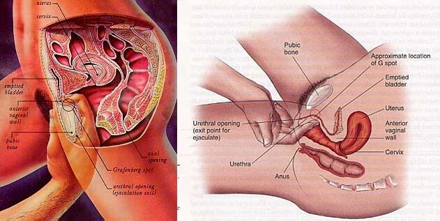 Swallow multiple loads