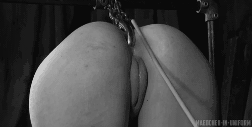 Anal Hook Insertion Animated Gif