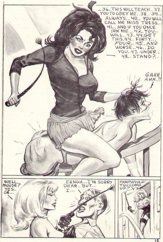 erotic catfight cartoons