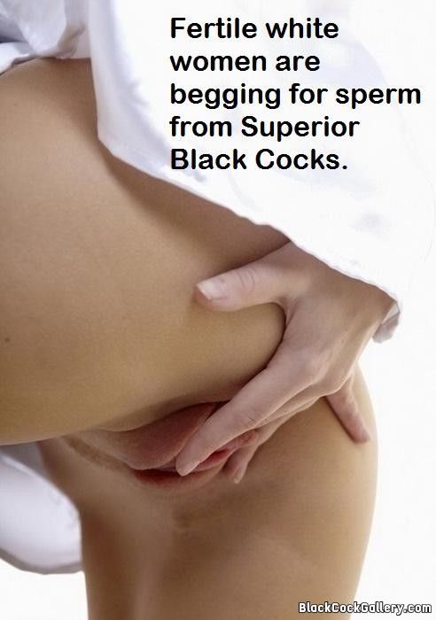 superior black cock captions