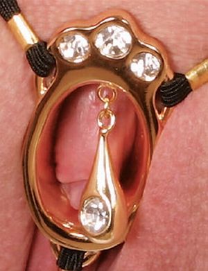 beautiful clit piercings