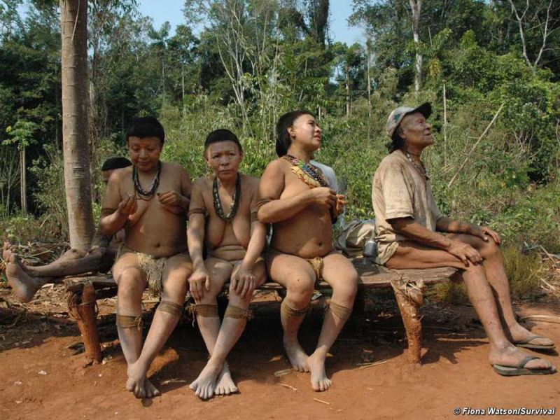 native tribes of brazil