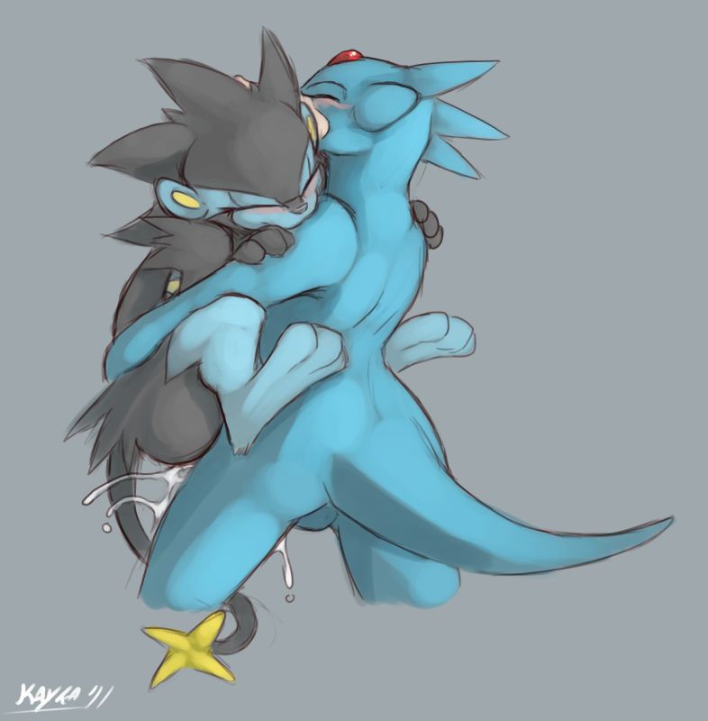 luxray and absol