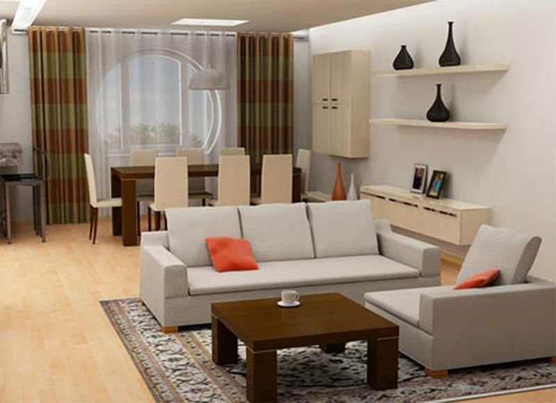 simple apartment living room