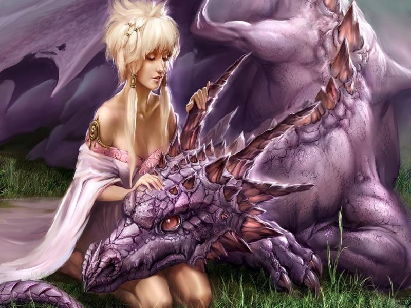 sexy dragon girl