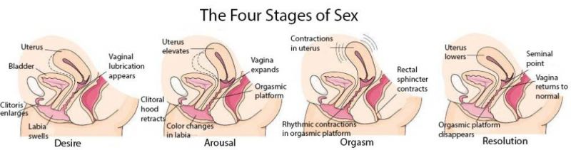 female perineum stimulation and arousal