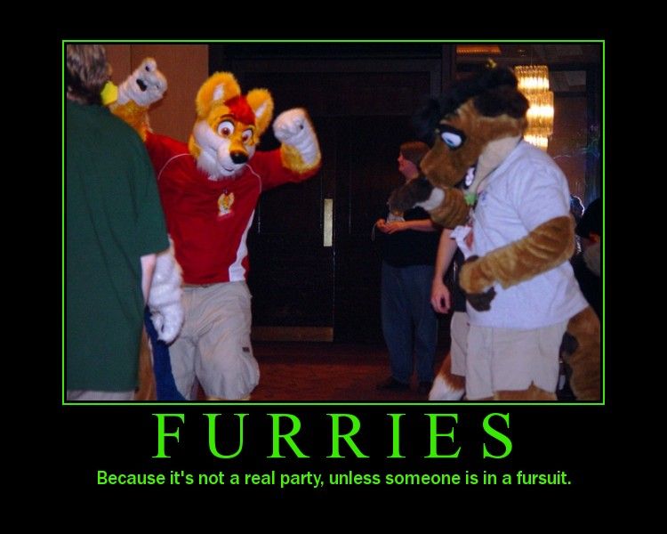 furry convention meme