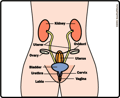 women with male and female sex organs