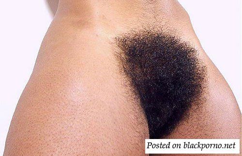 black hairy women treasure trail
