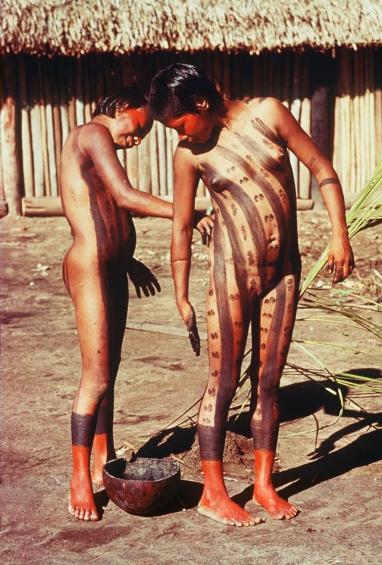 brazilian rainforest tribes