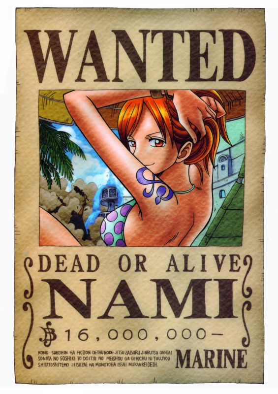 one piece robin wanted poster