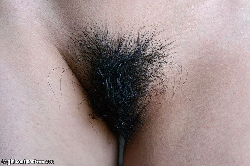 hairy asian pussy from behind