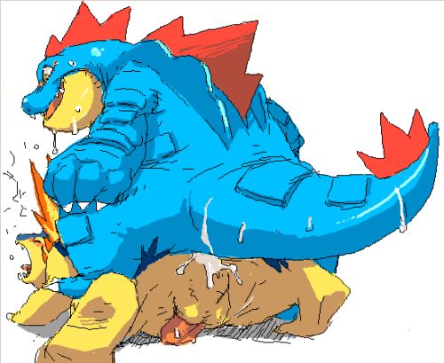 typhlosion and gardevoir