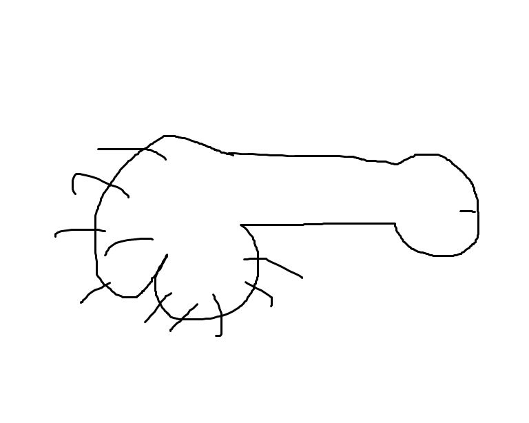 detailed penis drawing