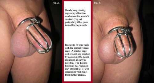 femdom permanent chastity captions