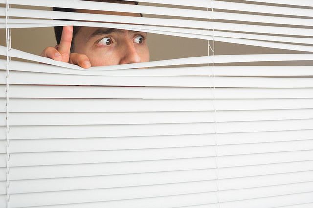 spying through blinds meme
