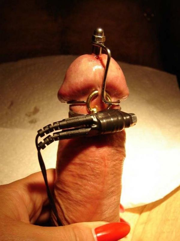 ant cock torture to balls