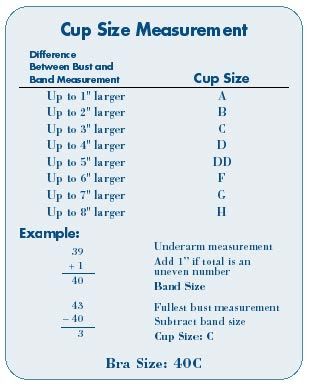 visual breast size comparison