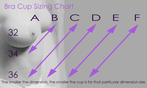 ddd breast size chart
