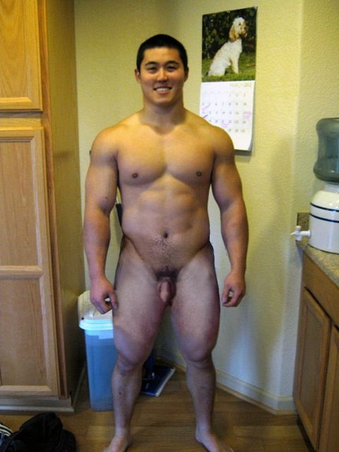hot muscle bear