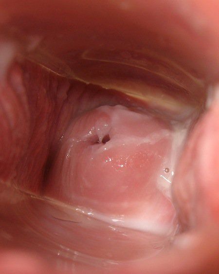 cervix and pee hole fucking