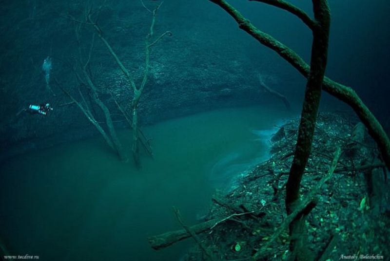 ocean underwater tumblr