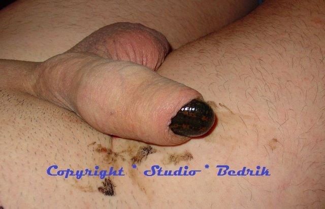 insect bdsm torture