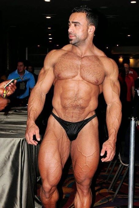 nude male bodybuilders posing