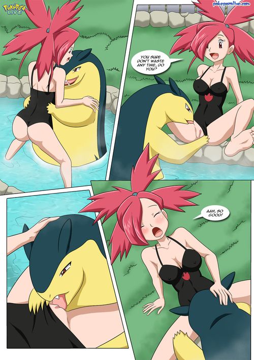 Pokemon Flannery Porn Comic