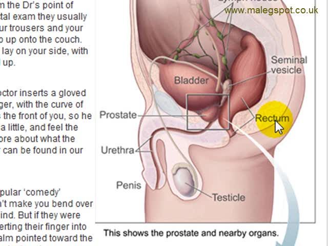 self prostate massage technique with diagram