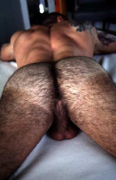 hairy gay ass spread