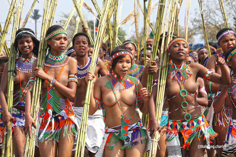 south african culture