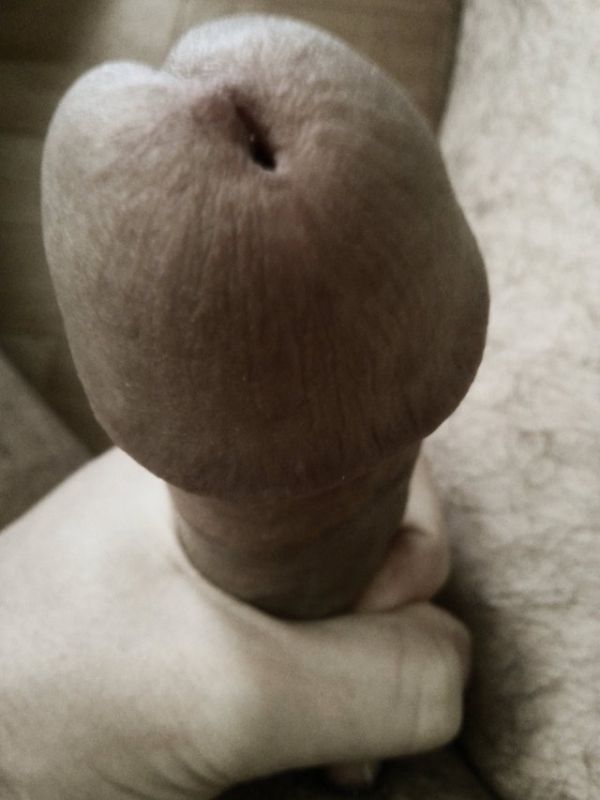 shemale large cock heads cumming