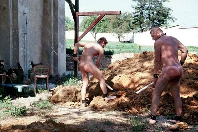 Naked Male Farm Slaves