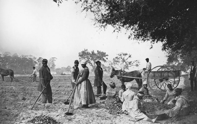 mixed slaves on plantations