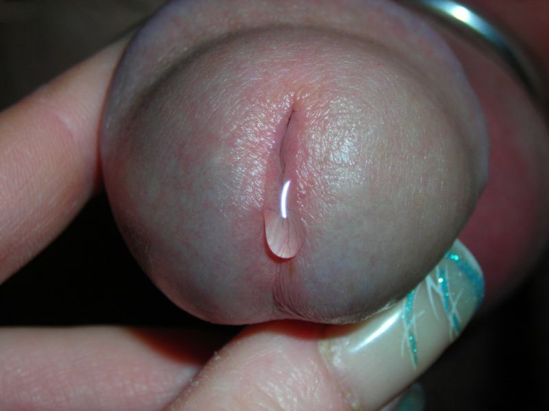 Close Up Cock Head Squirting Cum