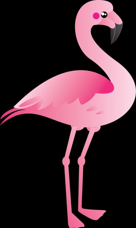 cute flamingo clip art
