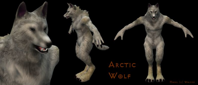 nude female anthro wolf furry