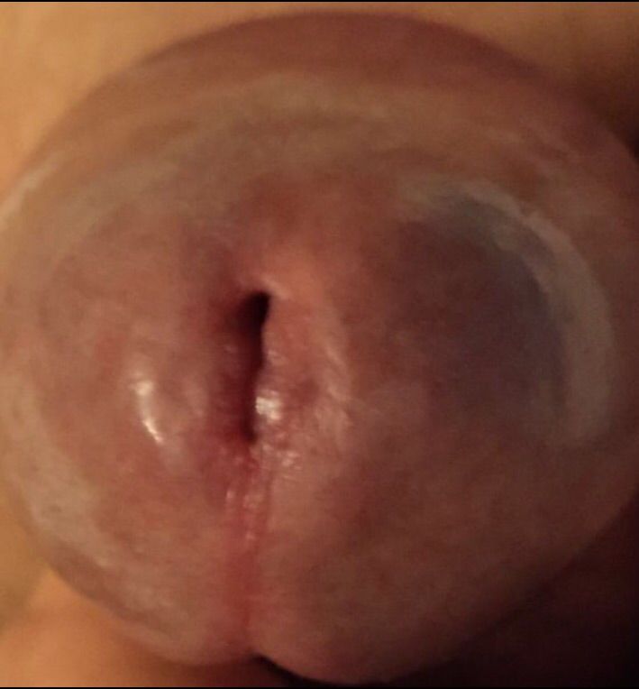 extreme close up penis