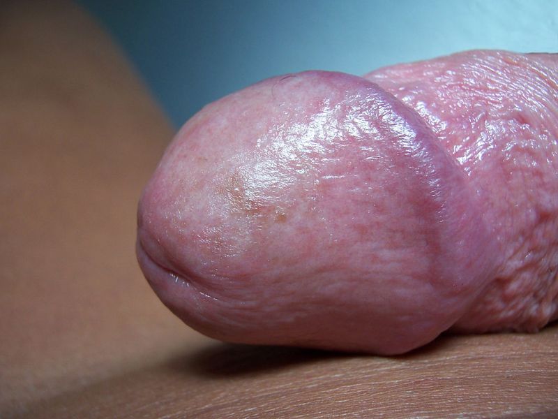gay penis close up