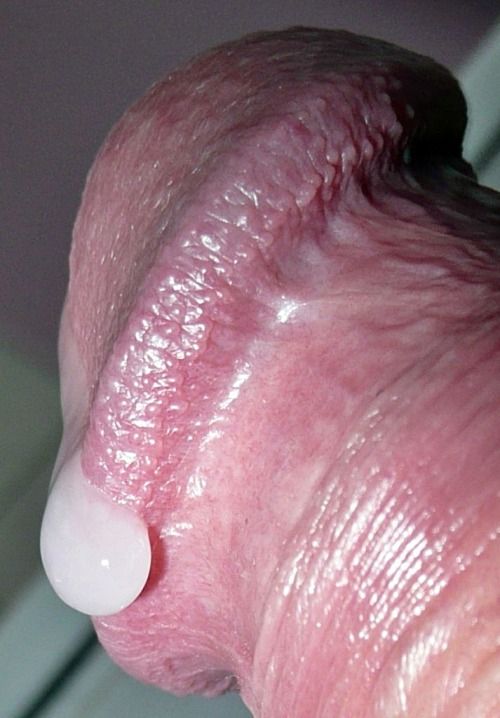 cock head close up