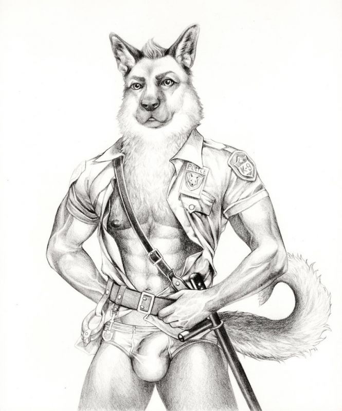solo gay furry german shepherd