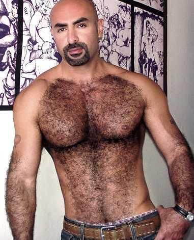 leather daddy bear