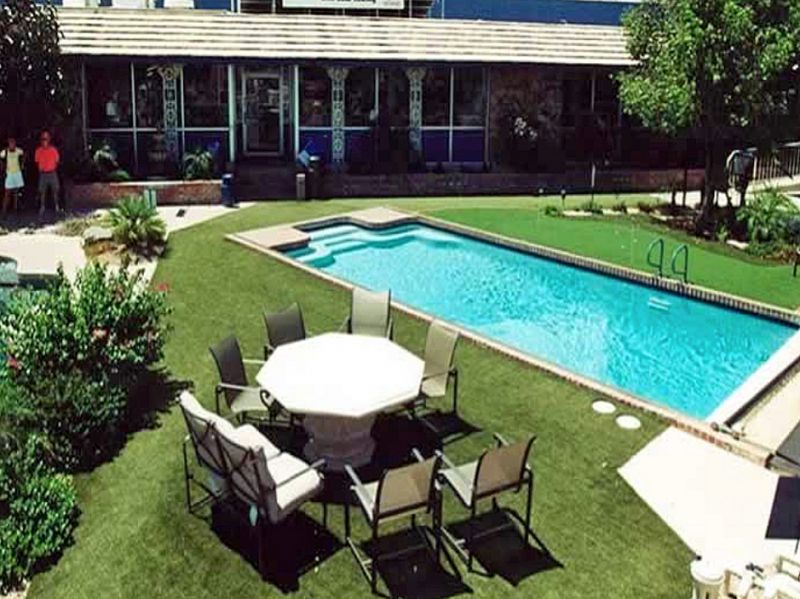 exotic backyard pools