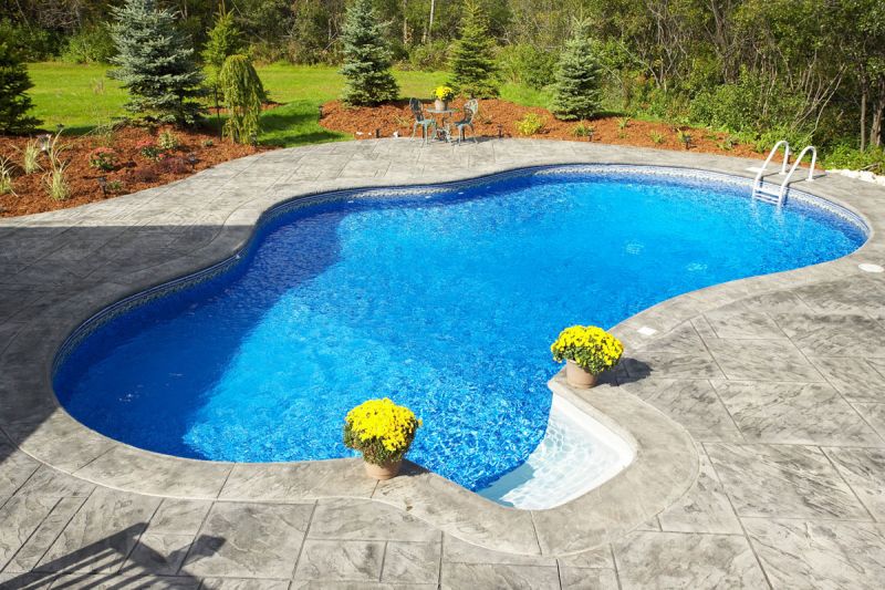 natural backyard pools