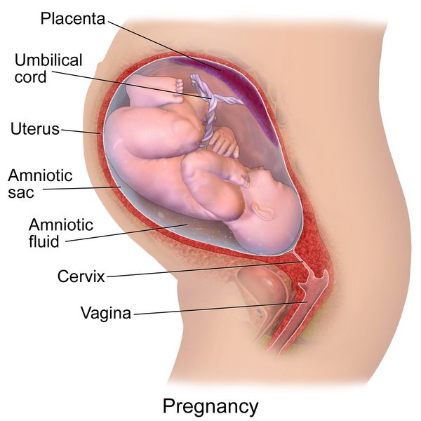 camera inside vagina during fucking