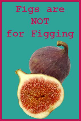 the sensation of figging