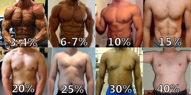 muscle building supplements for men